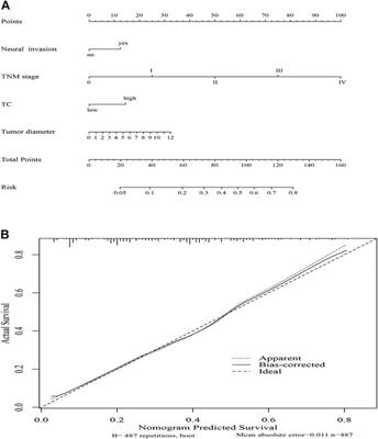 Prognostic value of nutritional and inflammatory indicators in females with esophageal squamous cell cancer: A propensity score matching study